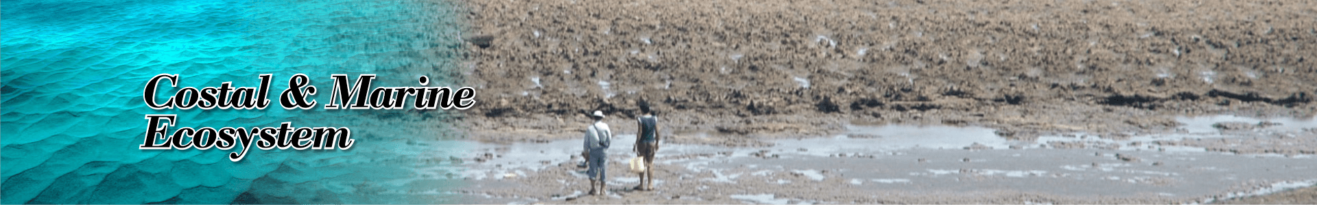 Coastal and Marine Ecosystems